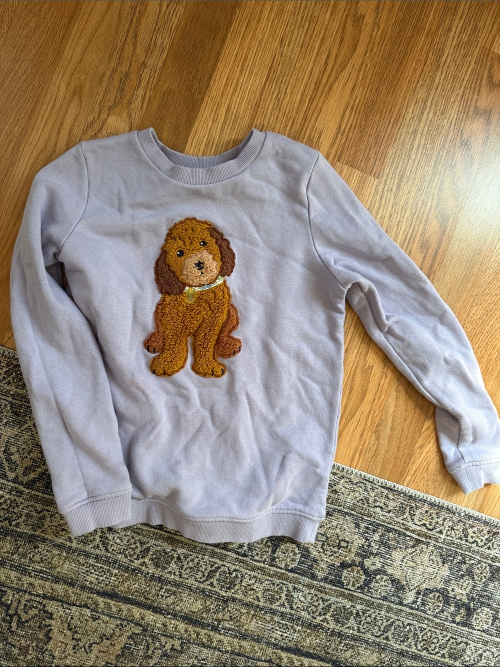 Mini Boden Puppy Pullover